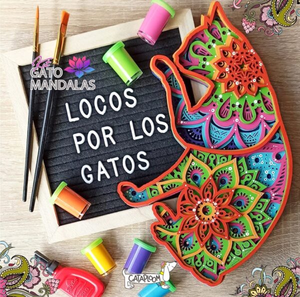 Gato